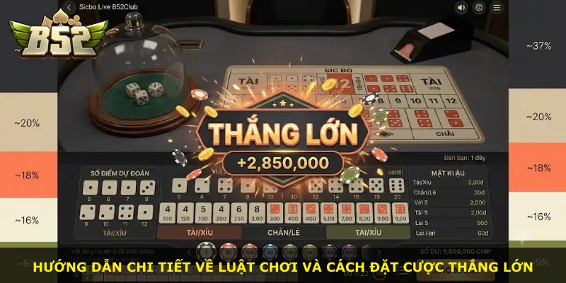 Hướng dẫn chi tiết về luật chơi và cách đặt cược thắng lớn