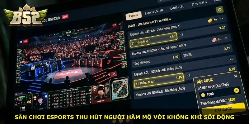 Sân chơi Esports thu hút người hâm mộ với không khí sôi động